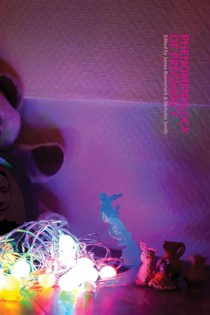 Phenomenology of Pregnancy