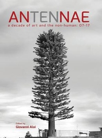 Antennae 10