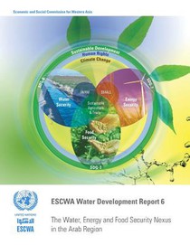 The water, energy and food security nexus in the Arab region
