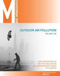 Outdoor Air Pollution: IARC Monographs on the Evaluation of Carcinogenic Risks to Humans