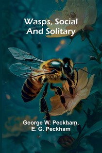 Wasps, Social And Solitary