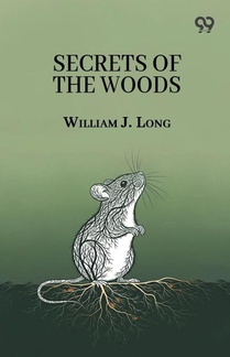 Secrets Of The Woods