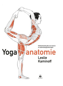 Yoga anatomie voorzijde