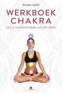 Werkboek chakra's