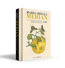 Maria Sibylla Merian. Metamorphosis insectorum Surinamensium