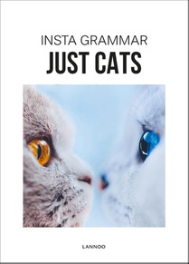 Insta Grammar - Just Cats