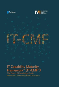 IT capability maturity framework (IT-CMF)