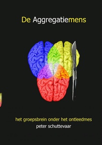 De aggregatiemens