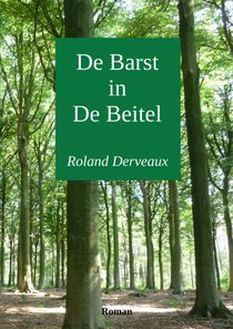 De Barst in De Beitel