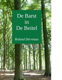De barst in de beitel