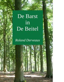 De barst in de beitel