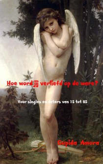 Hoe word jij verliefd op de ware? voorzijde