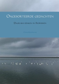 Ongesorteerde gedachten