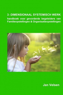 3 - DIMENSIONAAL SYSTEMISCH WERK