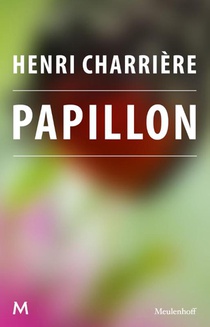 Papillon