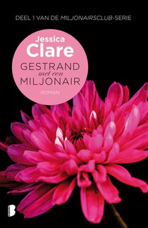 Gestrand met een miljonair