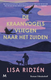 De kraanvogels vliegen naar het zuiden