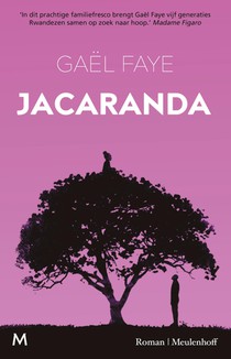 Jacaranda