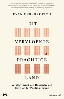 Dit vervloekte prachtige land