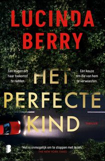 Het perfecte kind