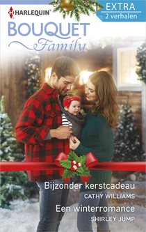 Bijzonder kerstcadeau ; Een winterromance