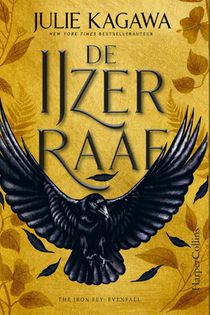 De IJzerraaf