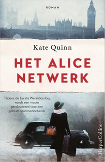 Het Alice-netwerk