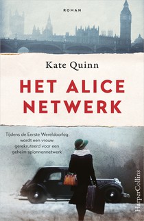 Het Alice-netwerk