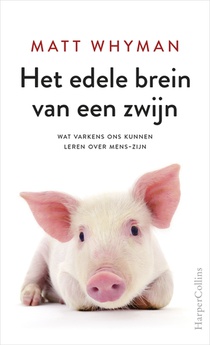 Het edele brein van een zwijn voorzijde