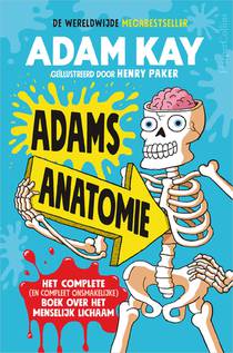 Adams anatomie