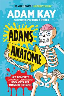 Adams anatomie voorzijde