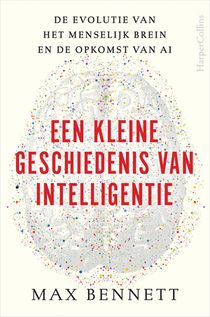 Een kleine geschiedenis van intelligentie