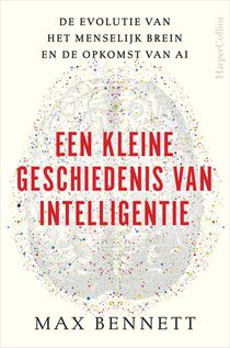 Een kleine geschiedenis van intelligentie