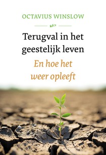 Terugval in het geestelijk leven