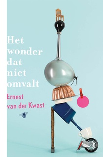 Het wonder dat niet omvalt voorzijde