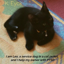 I'm Leo, a service dog in a cat jacket, and I'm helping my owner with PTSD voorzijde