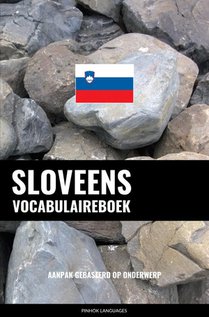 Sloveens vocabulaireboek voorzijde