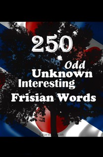 250 Odd, Unknown & Interesting Frisian Words voorzijde