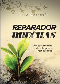 Reparador de brechas