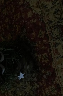 mooie kerstverhalen voorzijde