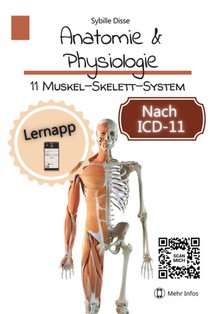 Anatomie & Physiologie Band 11: Muskel-Skelett-System