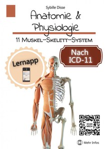 Anatomie & Physiologie Band 11: Muskel-Skelett-System