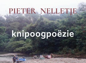 knipoogpoëzie