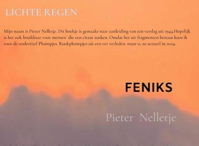 FENIKS