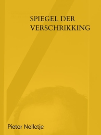 SPIEGEL DER VERSCHRIKKING