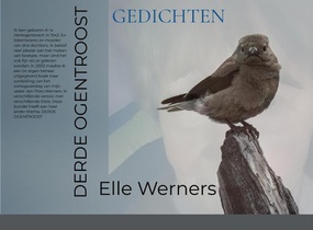 DERDE OGENTROOST