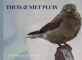 THUIS & NIET PLUIS thuisfrontgedichten