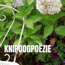 KNIPOOGPOËZIE