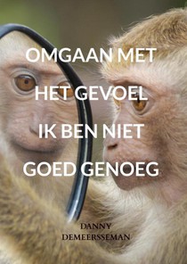 Omgaan met het gevoel ik ben niet goed genoeg