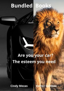 Bundled Books: Are You Your Car? | The Esteem You Need